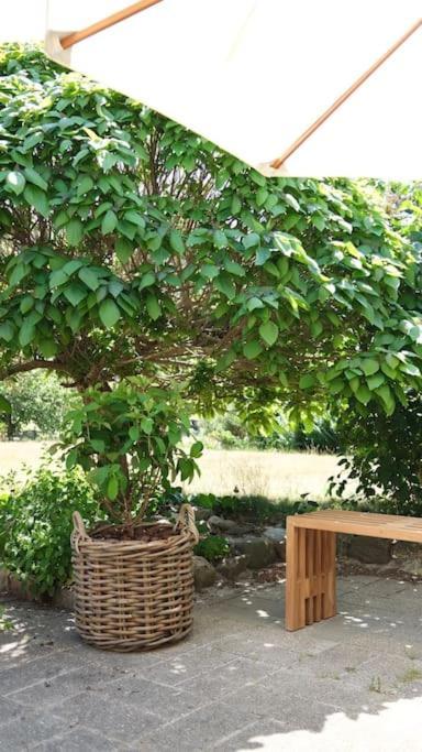 פאבורג Lovely Villa At The Foot Of The Funen Alps מראה חיצוני תמונה